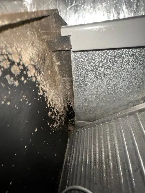 Mold or bacterial growth in an AC system in St. Augustine