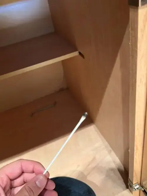 a hand holding cotton bud to get mold samples